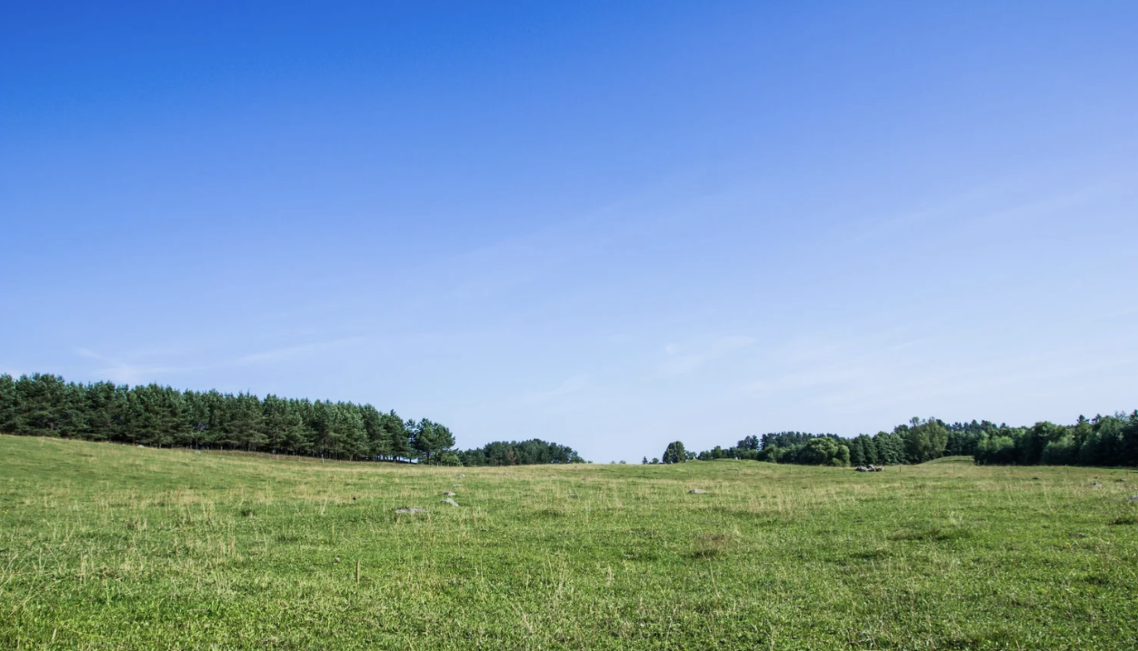 Land acquisition advisory for developers
