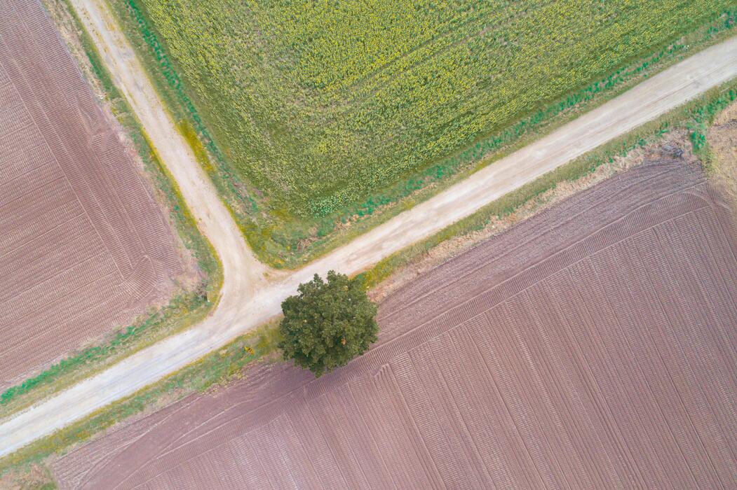 Land vista showing the strategic potential we see in every acre
