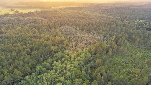 Strategic land disposition for legacy owners